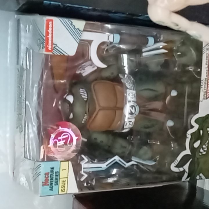 NECA TEENAGE MUTANT NINJA TURTLES SLASH