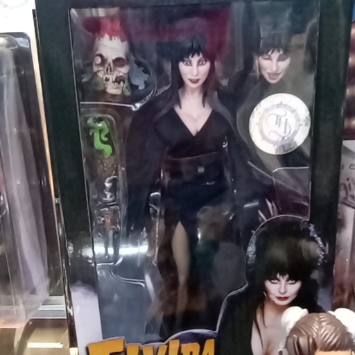 ELVIRA MISTRESS OF THE DARK